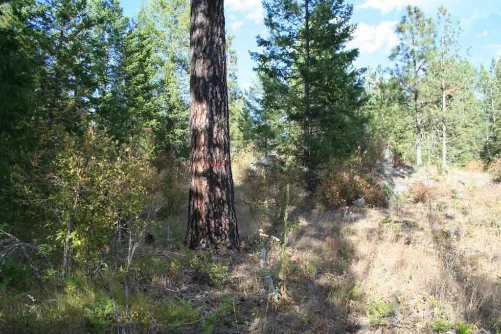 16-xx Nicholson Road Elk, WA 99009 - Photo 20 of 21