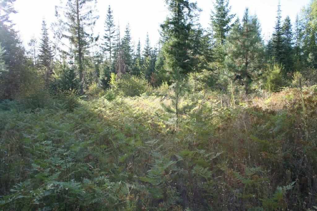 16-xx Nicholson Road Elk, WA 99009 - Photo 3 of 21
