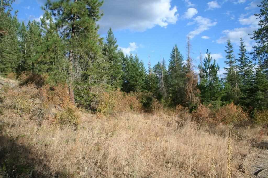 16-xx Nicholson Road Elk, WA 99009 - Photo 21 of 21