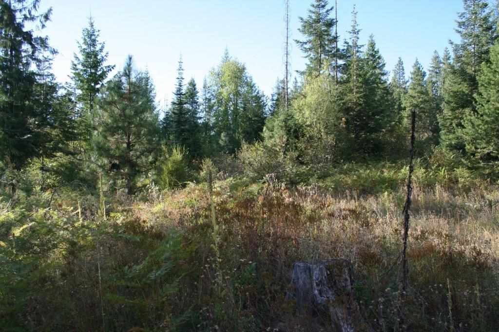16-xx Nicholson Road Elk, WA 99009 - Photo 4 of 21