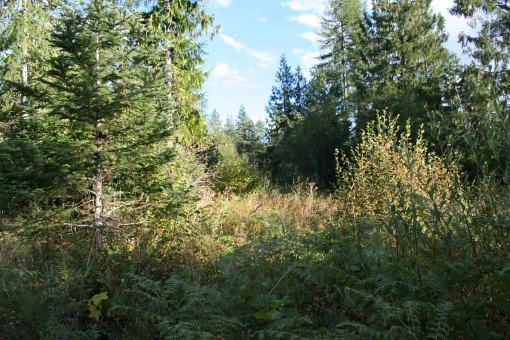 16-xx Nicholson Road Elk, WA 99009 - Photo 5 of 21