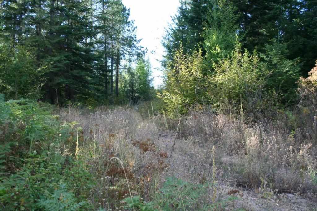 16-xx Nicholson Road Elk, WA 99009 - Photo 6 of 21