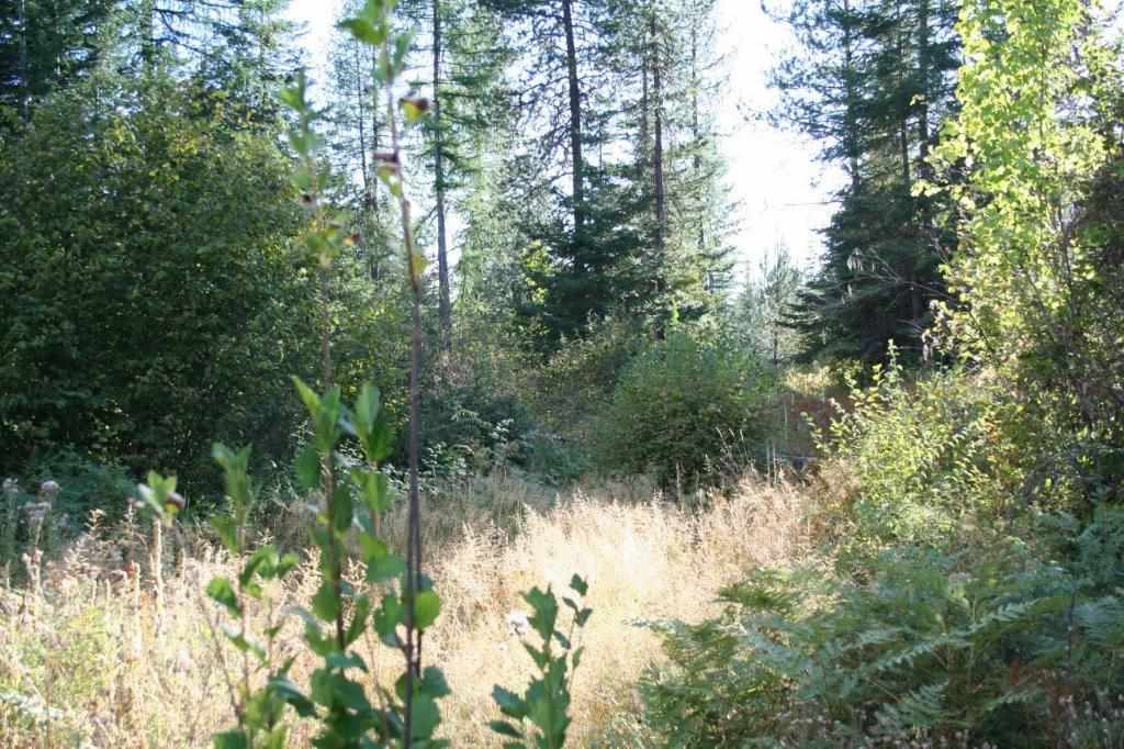 16-xx Nicholson Road Elk, WA 99009 - Photo 7 of 21