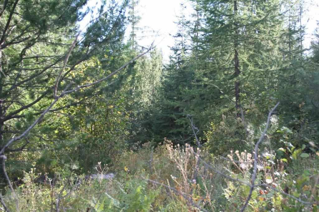 16-xx Nicholson Road Elk, WA 99009 - Photo 8 of 21