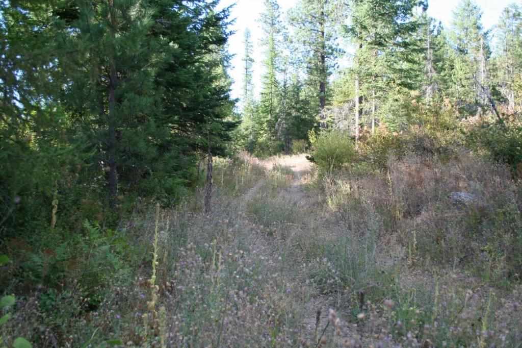 16-xx Nicholson Road Elk, WA 99009 - Photo 9 of 21