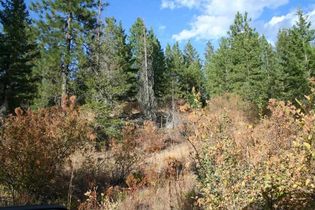 16-xx Nicholson Road Elk, WA 99009 - Photo 10 of 21