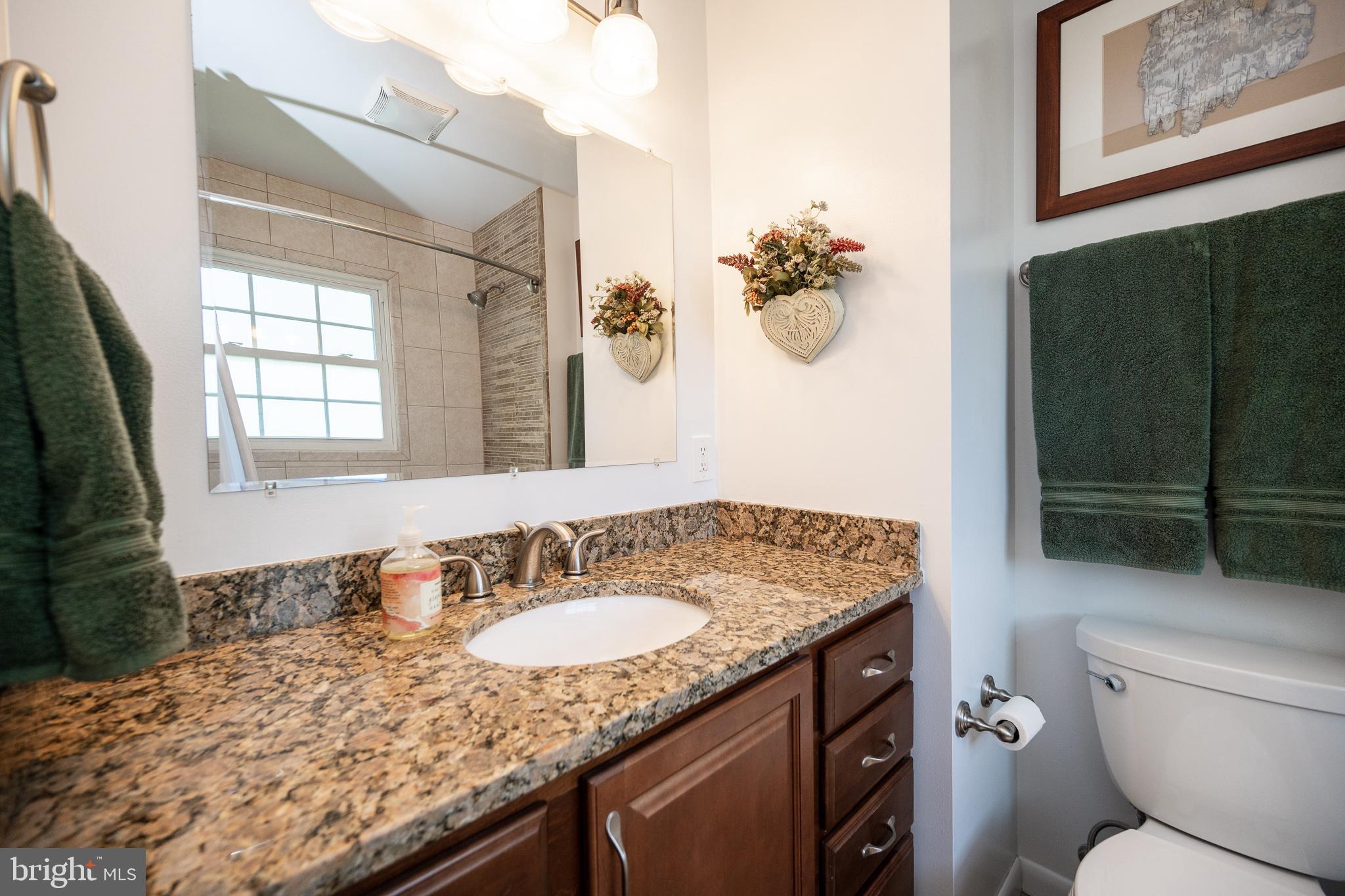 6437 Rives Court Springfield, VA 22150 - Photo 24 of 42 Master Bathroom