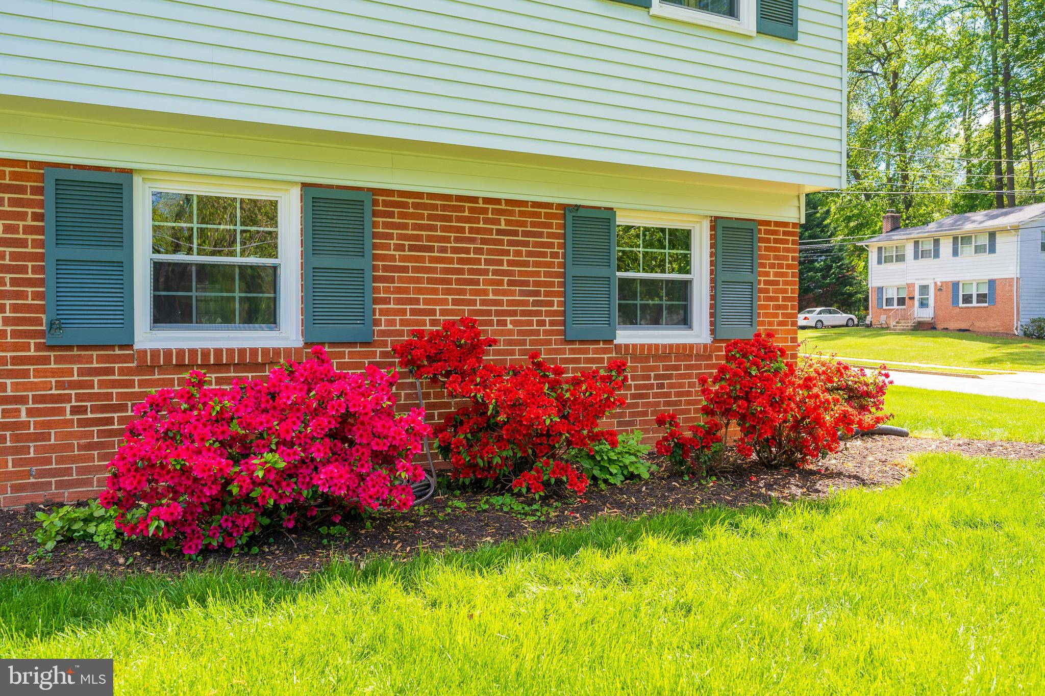 6437 Rives Court Springfield, VA 22150 - Photo 5 of 42 Beautiful azalea bushes bloom in spring