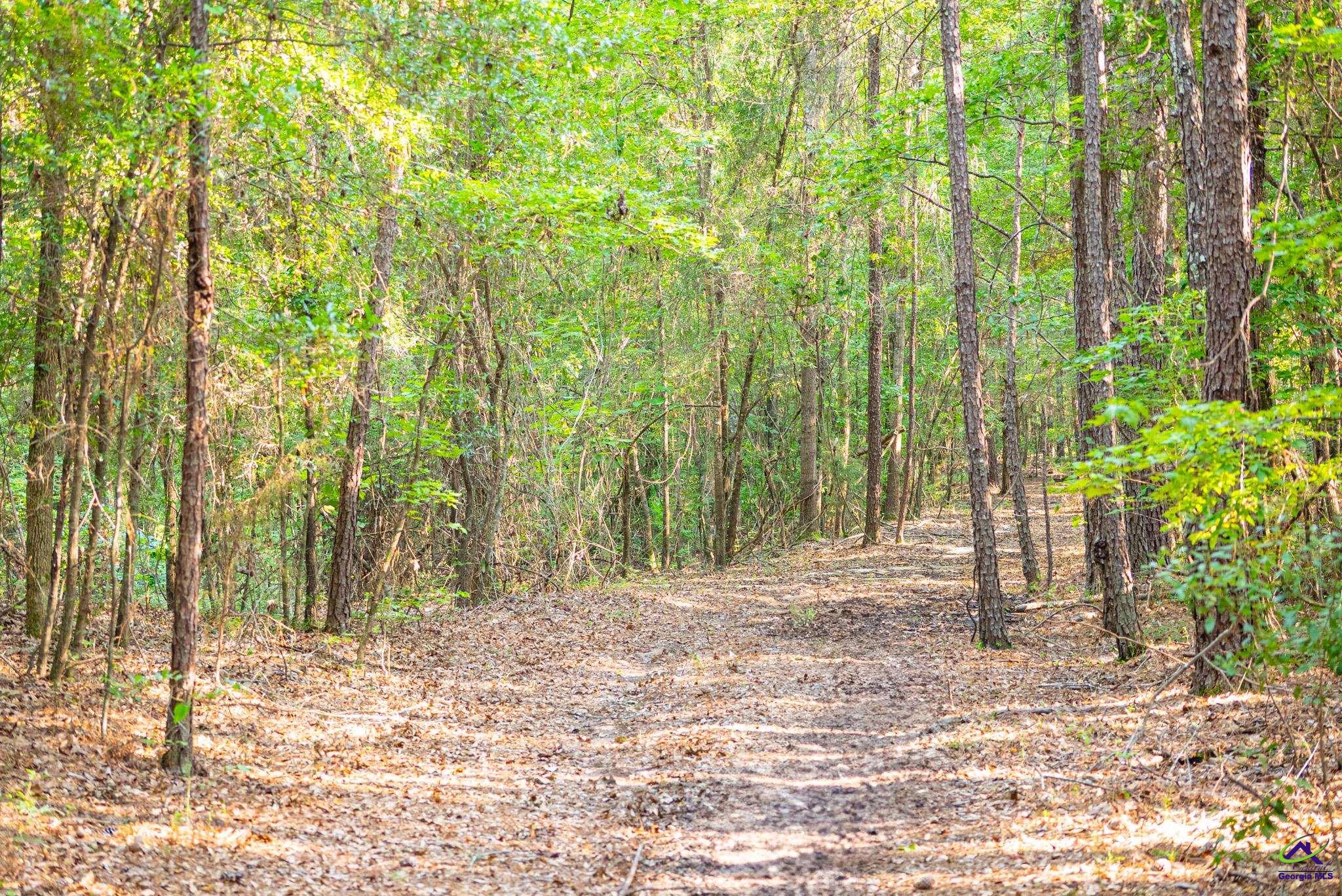Southland Road Butler, GA 31006 - Photo 55 of 68