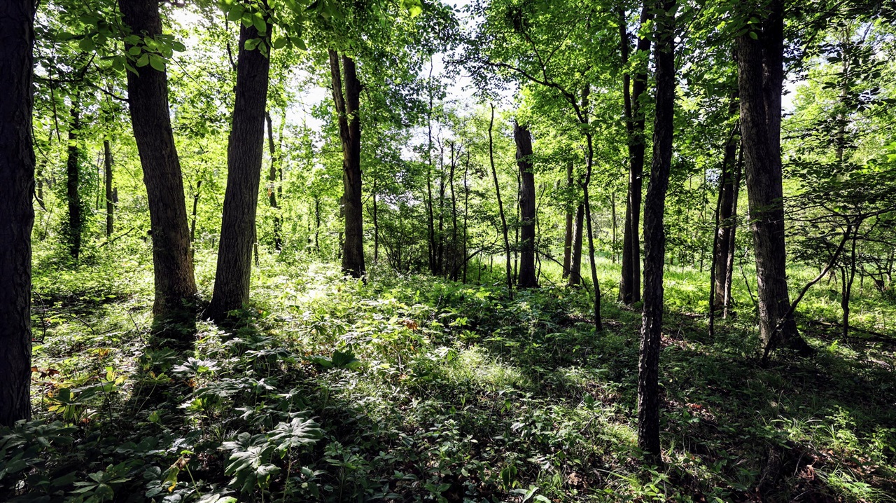 29 29 Mile Road Battle Creek, MI 49014 - Photo 27 of 48
