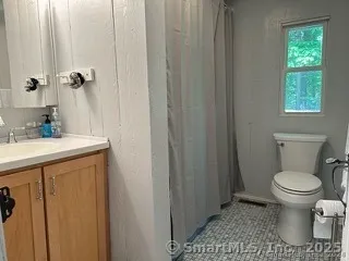 a bathroom with a sink a toilet and shower