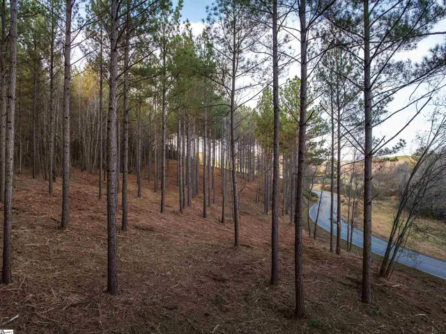 $149,999 | 1 Concord Church Road, Pickens, SC 29671