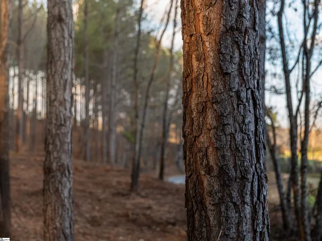 $149,999 | 1 Concord Church Road, Pickens, SC 29671