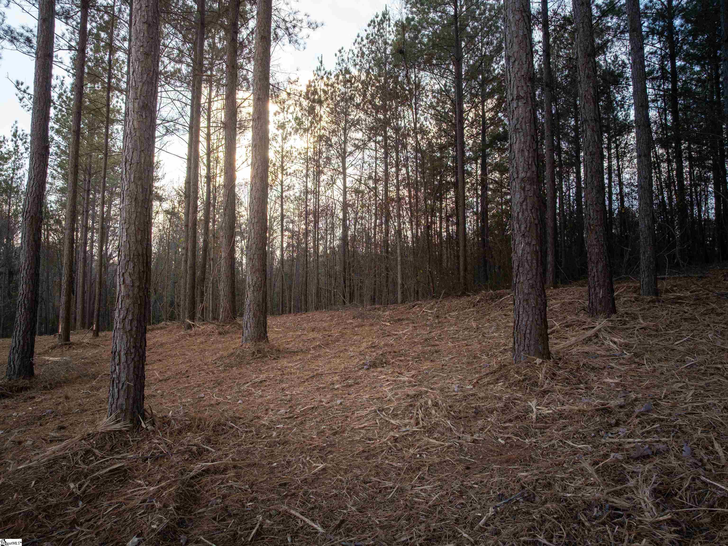 1 Concord Church Road Pickens, SC 29671 - Photo 6 of 20 Gallery Image 6