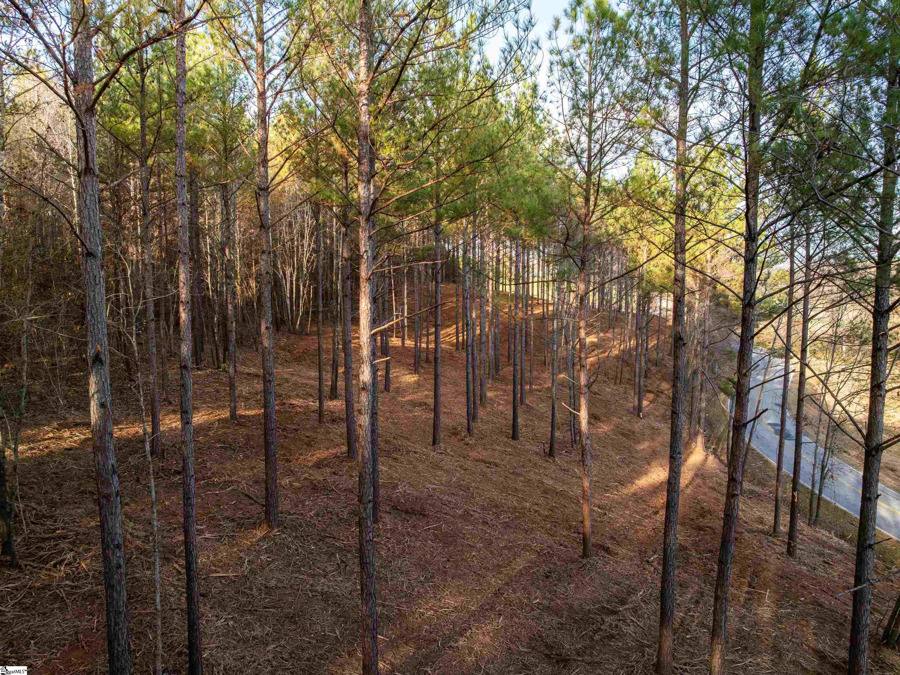 1 Concord Church Road Pickens, SC 29671 - Photo 7 of 20 Gallery Image 7