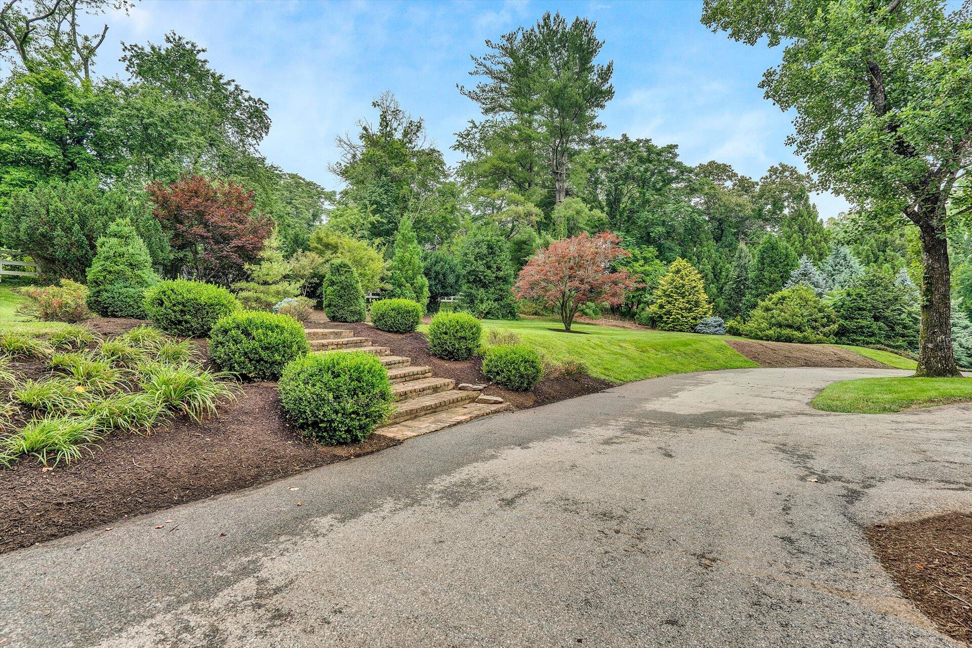 1542 Electric Road Southwest Roanoke, VA 24018 - Photo 46 of 80 60-063020230048