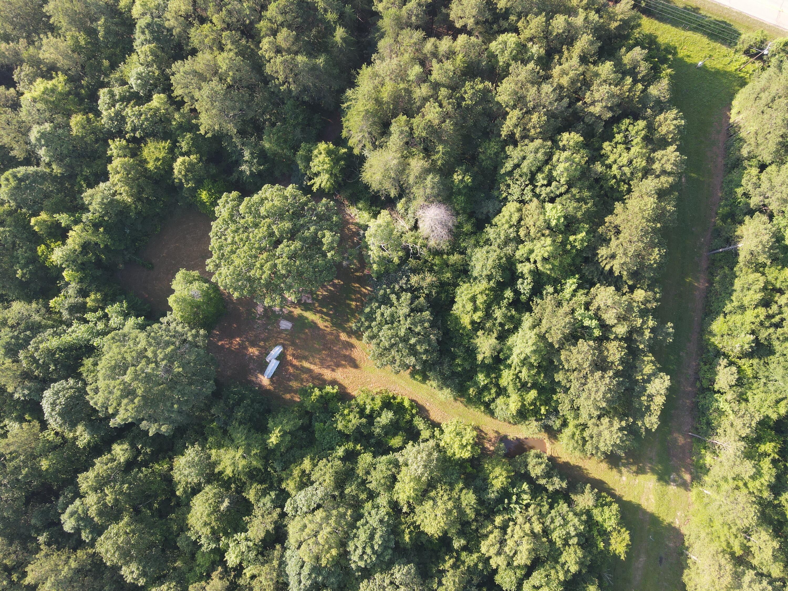 1200 B Highway McCormick, SC 29835 - Photo 5 of 17 DJI_0537