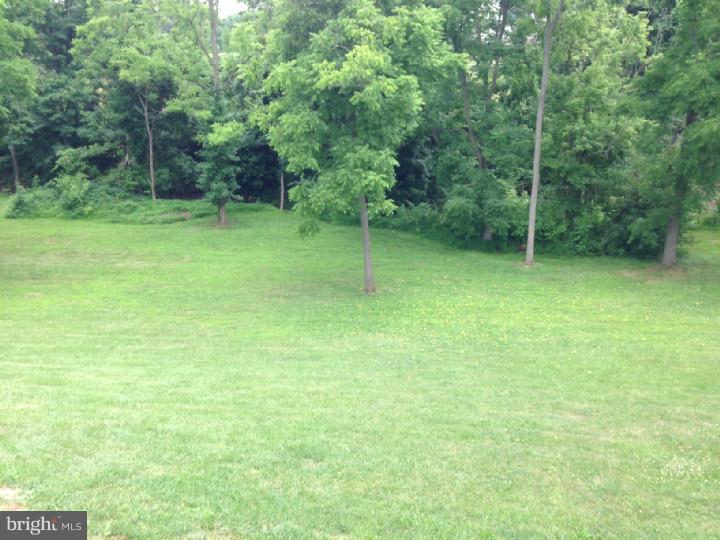 430 Sunny Ridge Road Gilbertsville, PA 19525 - Photo 13 of 13 Back Yard