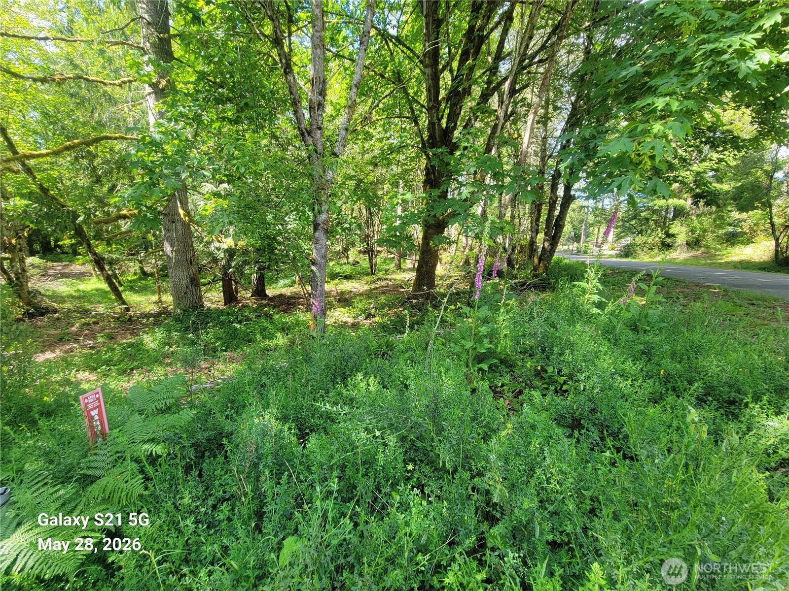 900 East Wilson Way Grapeview, WA 98546 - Photo 27 of 27