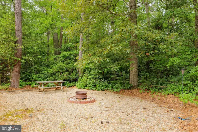 a view of a green field with lots of plants in it