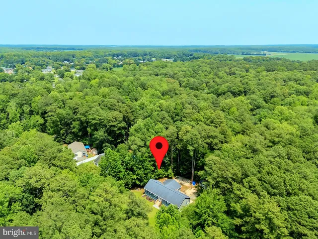 a view of a green yard with large trees