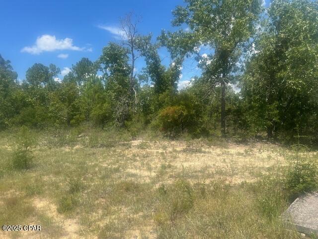 Tbd Cachet Court, Unit 9 Chipley, FL 32428 - Photo 3 of 11