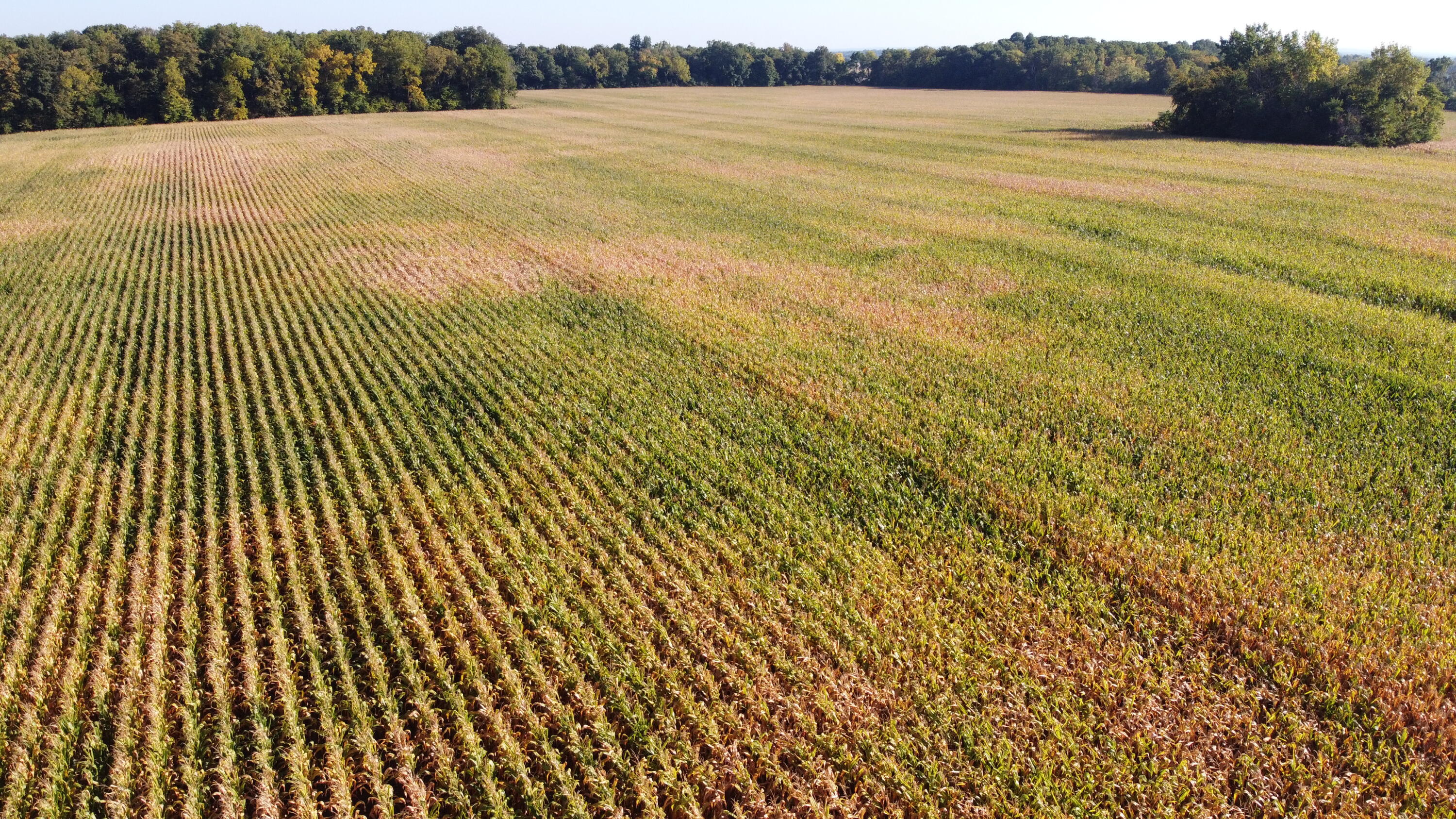 0 Snapp Road De Graff, OH 43318 - Photo 17 of 32