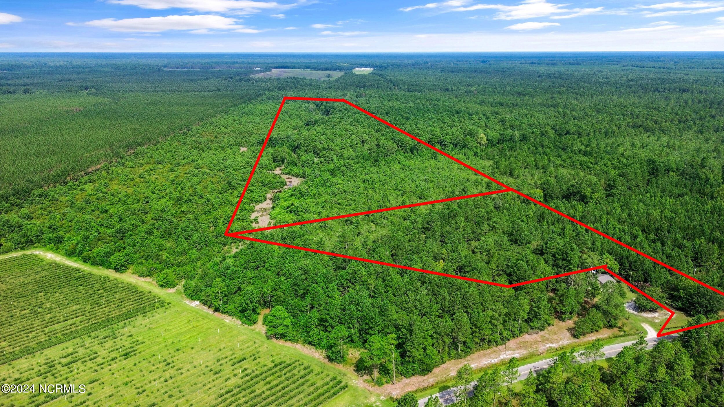 1 Lizzie Henry Road Ivanhoe, NC 28447 - Photo 3 of 15 lizziehenryrd_00003
