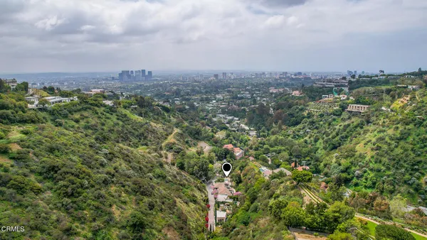 a picture of flowers