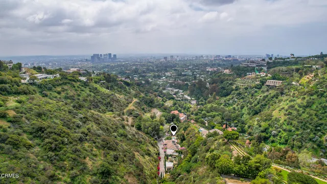 a picture of flowers