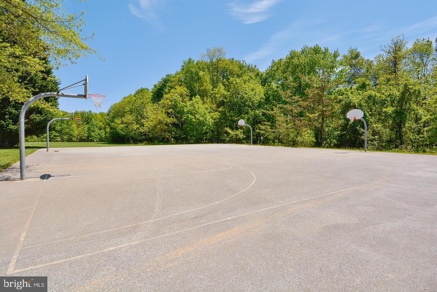 15512 Williston Road Silver Spring, MD 20905 - Photo 40 of 42 Basketball
