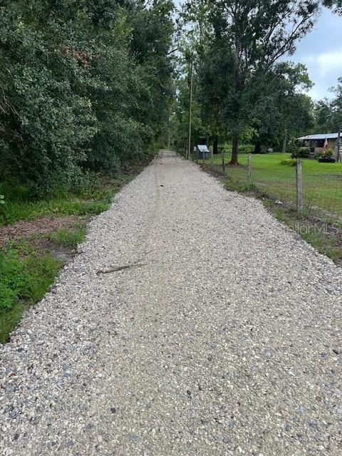 1537 Poe Road Lake Wales, FL 33898 - Photo 3 of 16 a view of a street with a yard and trees