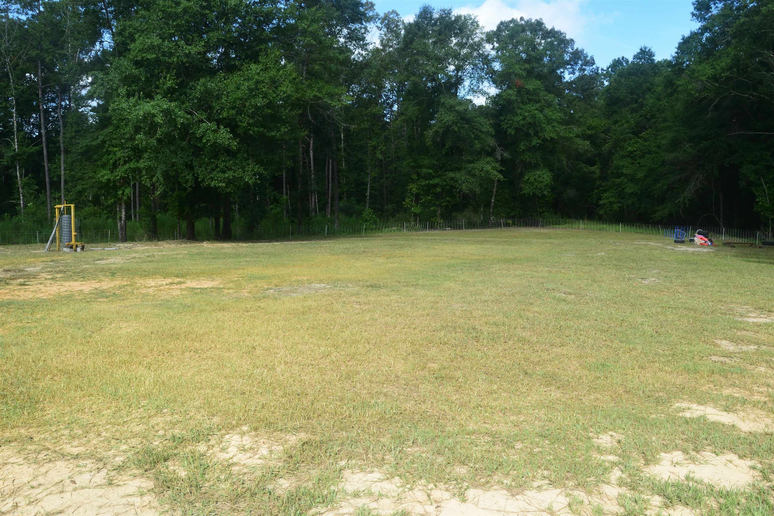 22535 Rosin Ridge Road Red Level, AL 36474 - Photo 37 of 46 Gallery Image 37