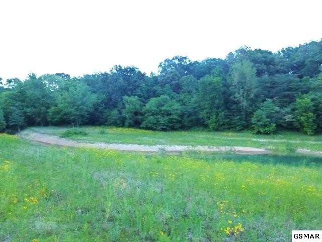12 Ernie Roberts Road Rutledge, TN 37861 - Photo 16 of 32 Gallery Image 16