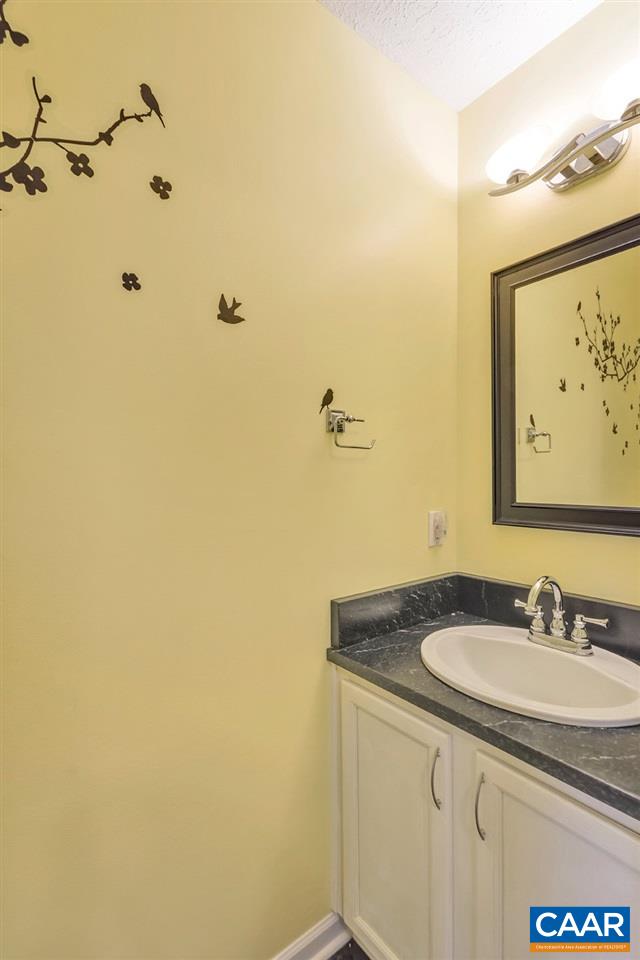 8424 Chestnut Grove Road Esmont, VA 22937 - Photo 13 of 42 a bathroom with a granite countertop sink and a mirror