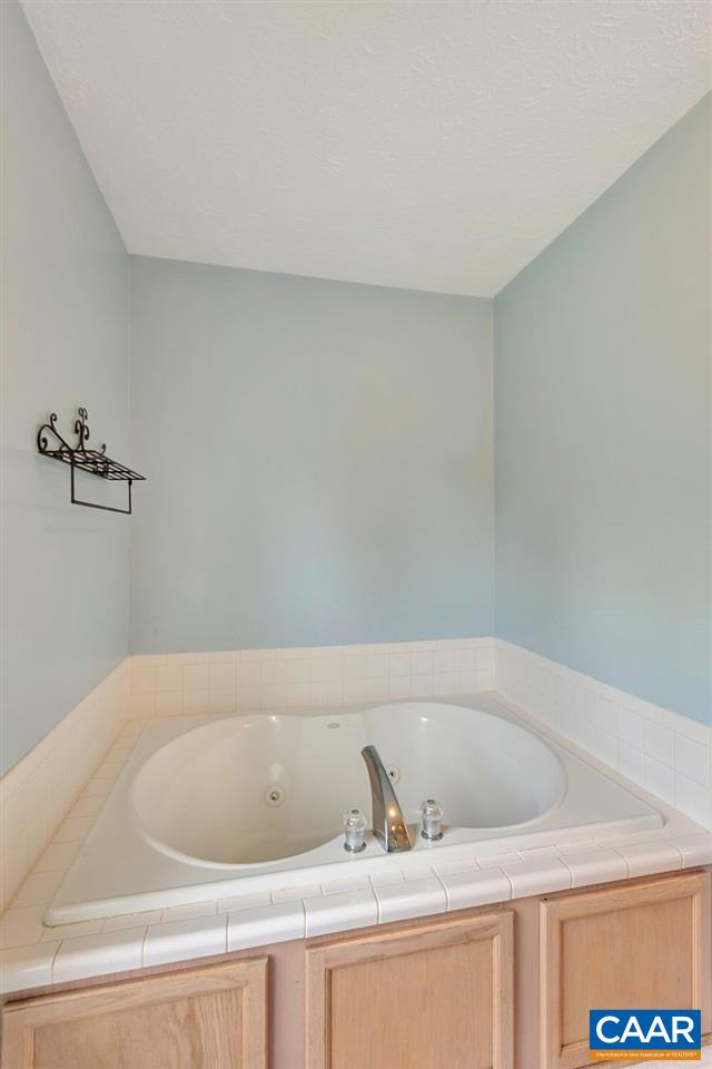 8424 Chestnut Grove Road Esmont, VA 22937 - Photo 18 of 42 a bathroom with a bathtub