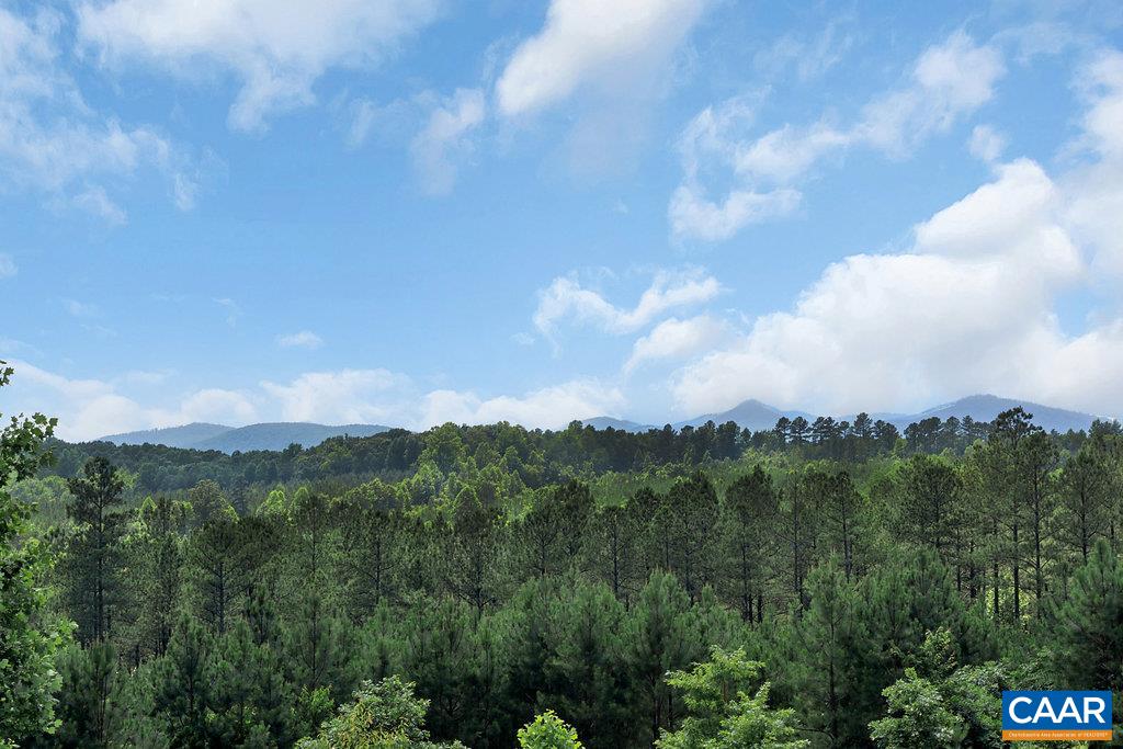 8424 Chestnut Grove Road Esmont, VA 22937 - Photo 3 of 42 a view of a city and mountains