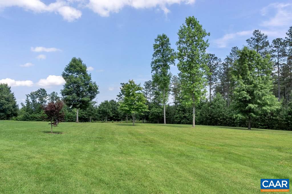 8424 Chestnut Grove Road Esmont, VA 22937 - Photo 41 of 42 a view of a green field with a tree in the background
