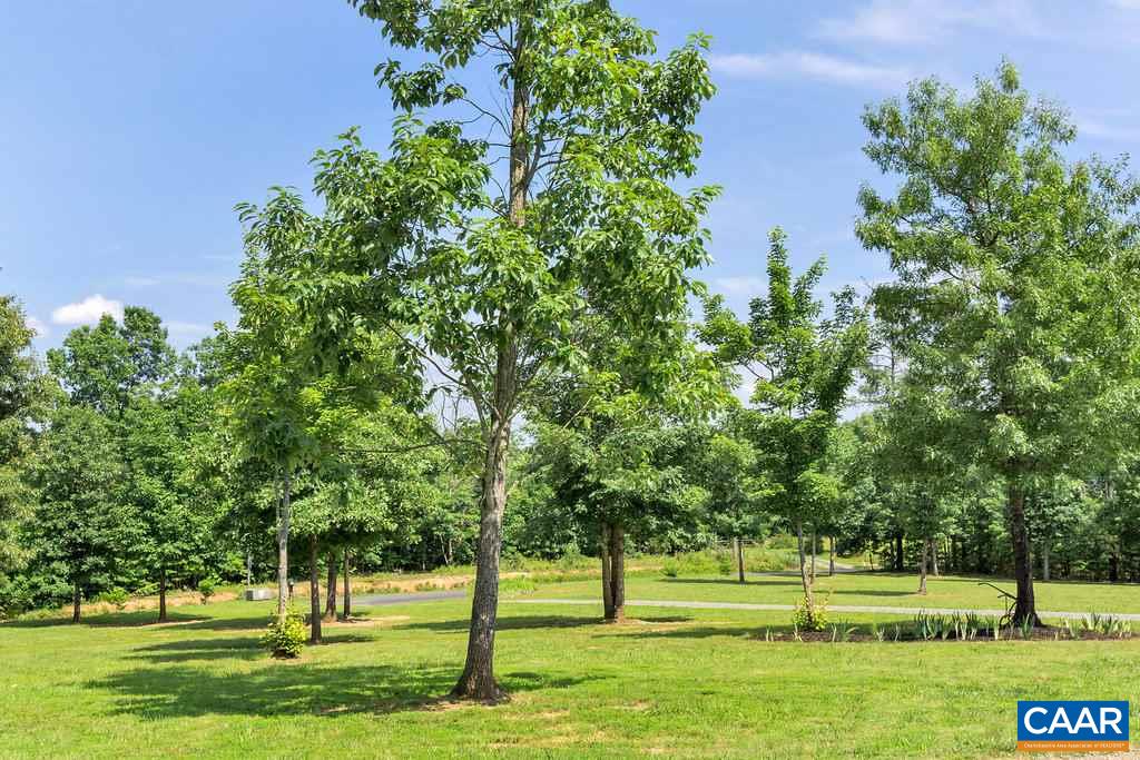 8424 Chestnut Grove Road Esmont, VA 22937 - Photo 42 of 42 a view of a garden with trees