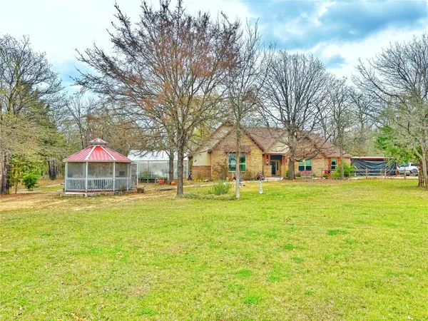 a view of a large trees with a big yard