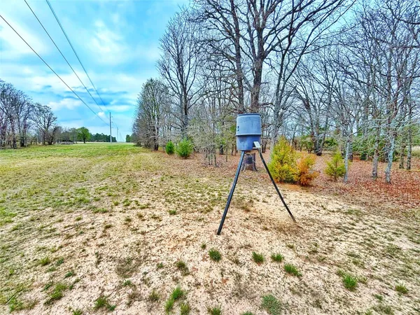 a view of a yard with a house