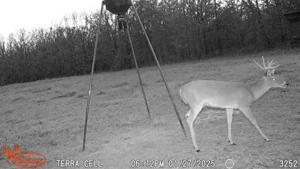 a view of an ocean from a beach