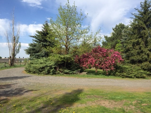 810 North Hayford Road Spokane, WA 99224 - Photo 10 of 19