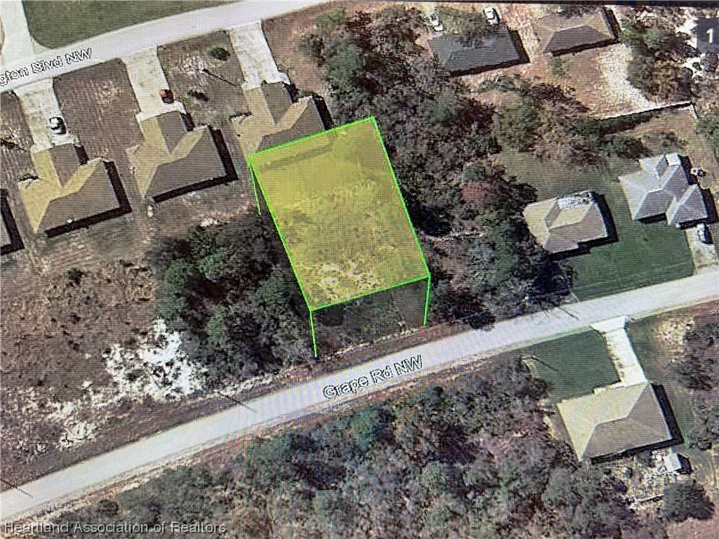 118 Grape Road Northwest Lake Placid, FL 33852 - Photo 1 of 1 Gallery Image 1