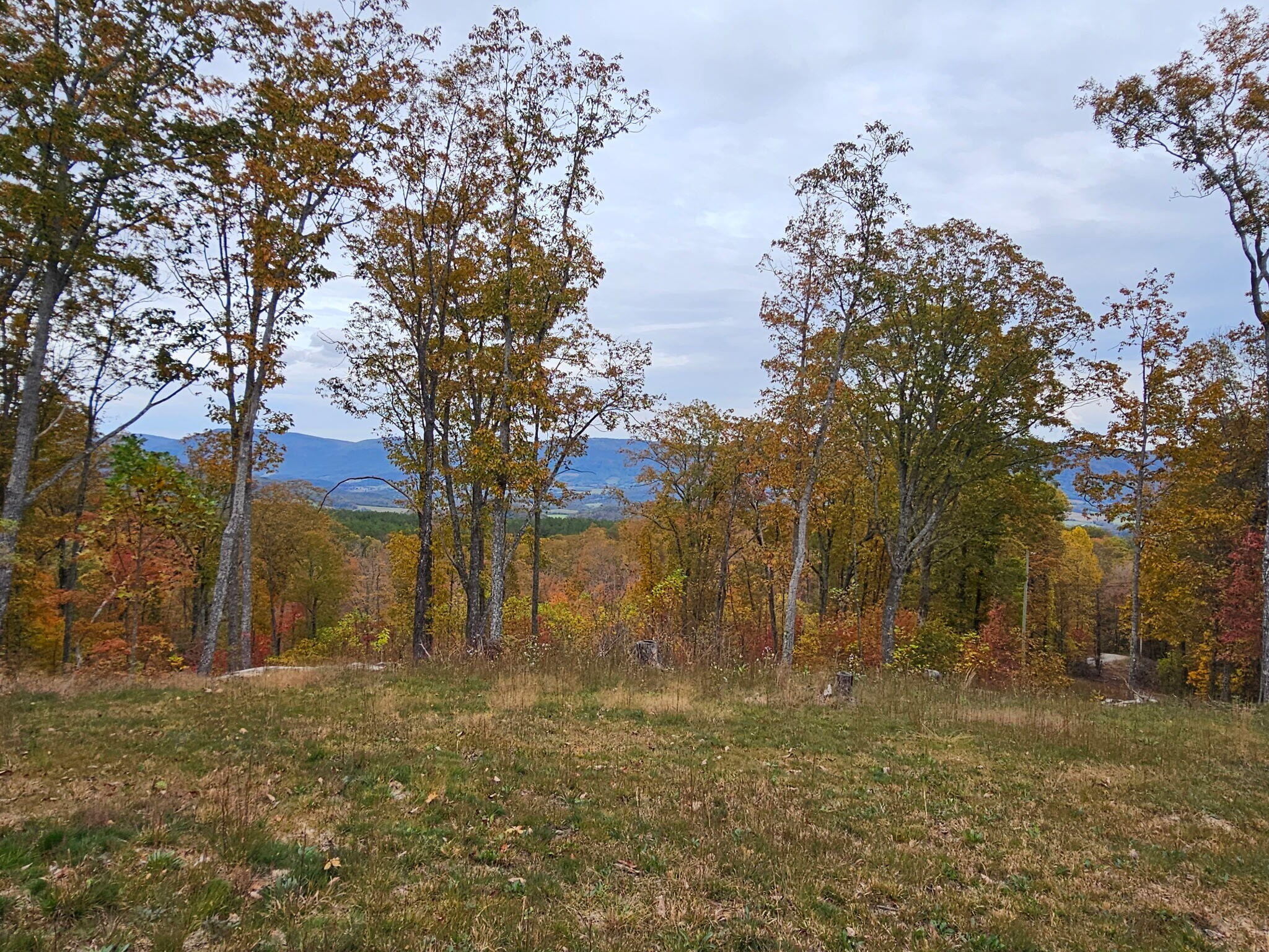 0 Overview Road Crossville, TN 38572 - Photo 1 of 18 Gallery Image 1