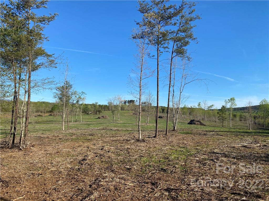 3242 Landrum Road Columbus, NC 28722 - Photo 1 of 11 a view of a park with a tree