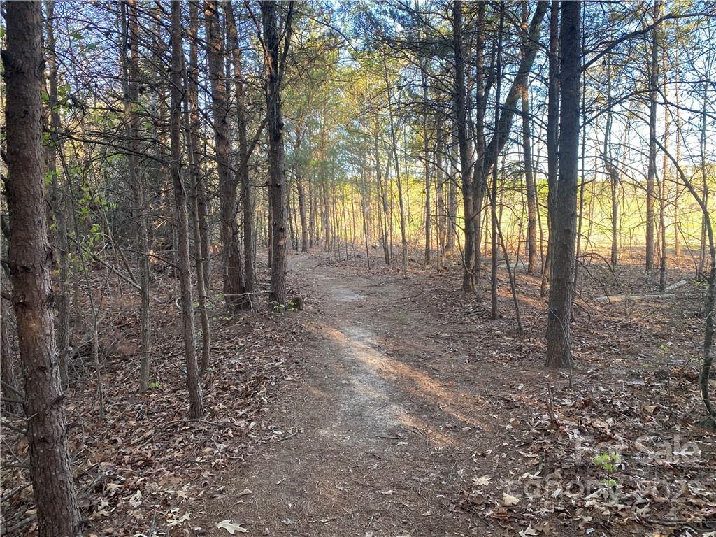 3242 Landrum Road Columbus, NC 28722 - Photo 11 of 11 a view of outdoor space and trees