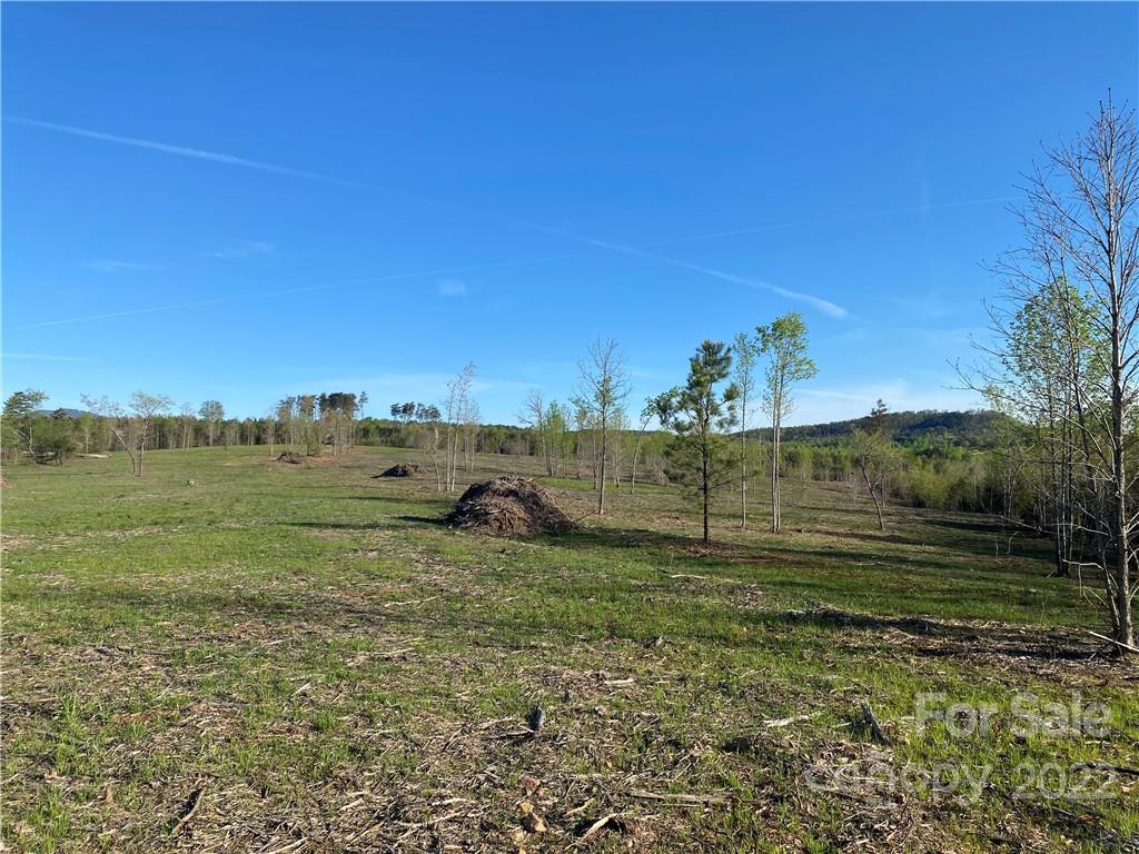 3242 Landrum Road Columbus, NC 28722 - Photo 2 of 11 a view of a field