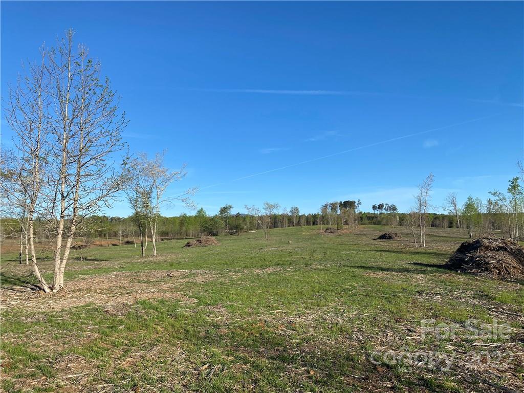 3242 Landrum Road Columbus, NC 28722 - Photo 3 of 11 a view of a green field