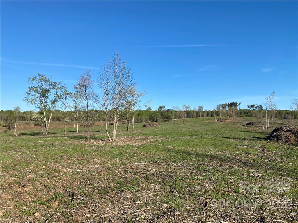3242 Landrum Road Columbus, NC 28722 - Photo 4 of 11 a view of a field with an trees